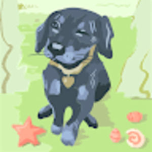 Meet your Posher, Garyy